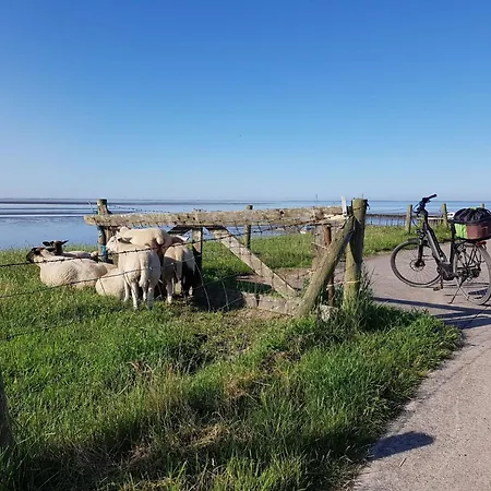 L3 Eingezaeuntes In Eckwarderhoerne By Interhome * Grosswurden