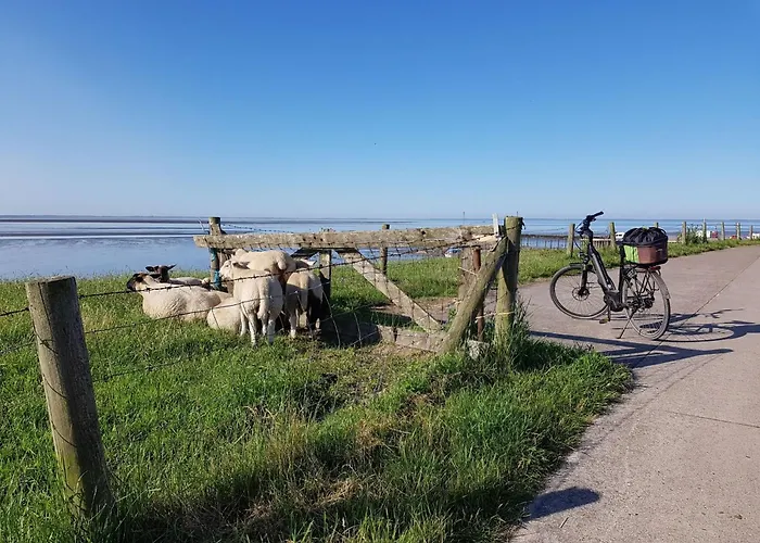 L3 Eingezaeuntes In Eckwarderhoerne By Interhome * Grosswurden